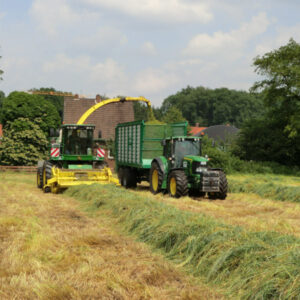 Alkar EnergyGras Ernte