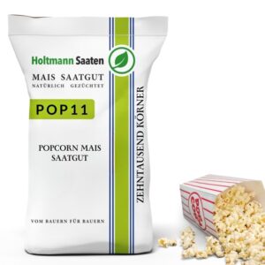 Popcorn Mais Saatgut