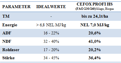 Mais-Cefox-Ergebnis2017