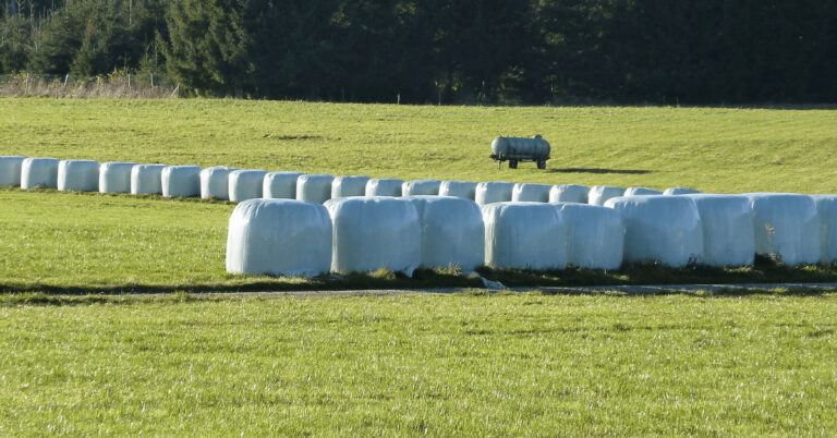 Rundballen auf Grünland