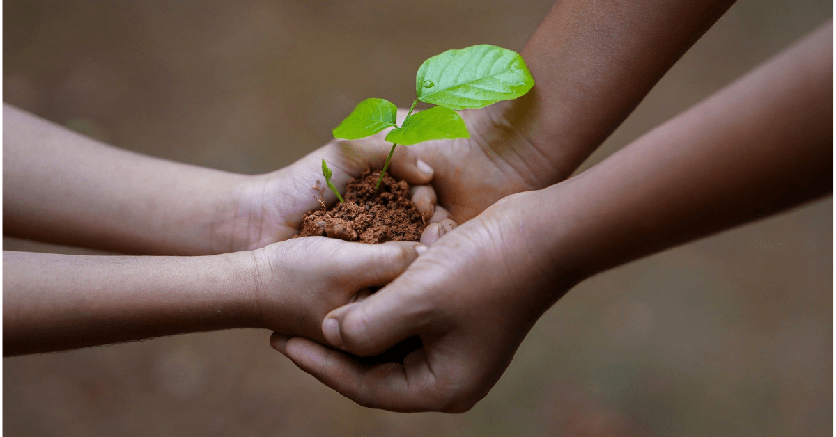 Pflanze mit Erde in Kinderhänden