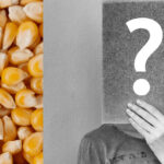 Maiskörner und Person mit Fragezeichenschild vor Kopf haltend