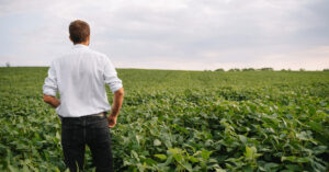 Ein Mann steht in einem großen, grünen Sojafeld und trägt ein weißes Hemd. Er schaut in die Ferne unter einem leicht bewölkten Himmel.