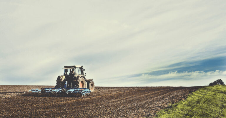 Traktor grubbert Feld