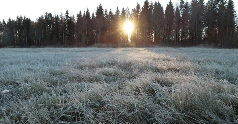 Acker Sonnenschein Schnee