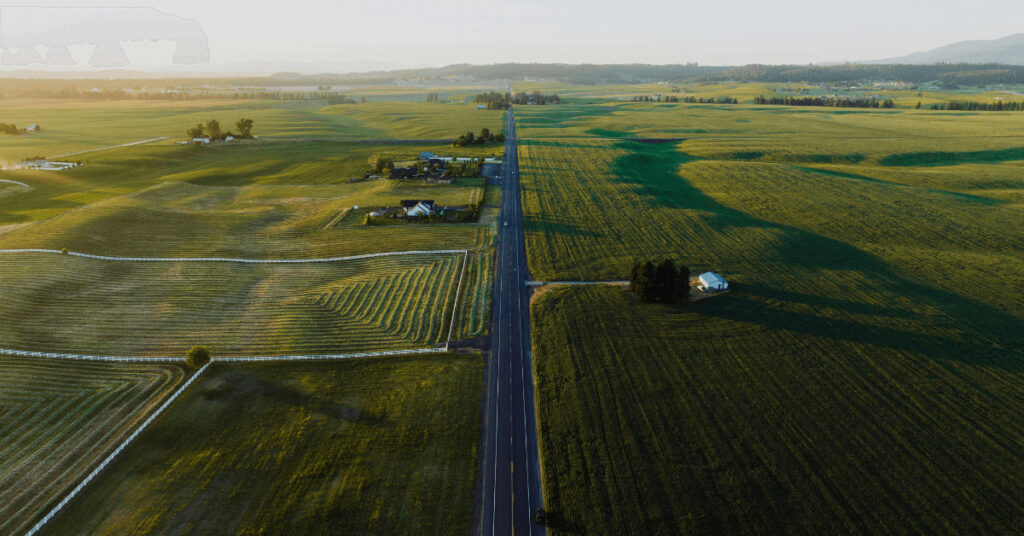 Felder von oben mit einer Straße