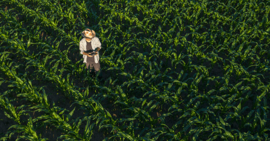 Landwirt im Mais