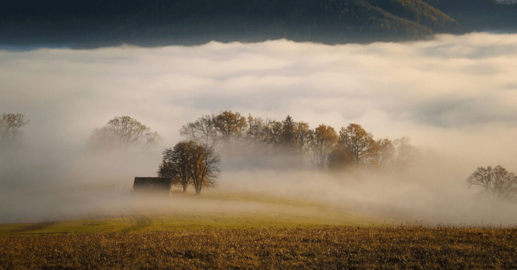 Grünland Herbst