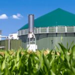 Biogasanlage steht hinter einem Maisfeld bei blauem Himmel. Die Anlage enthält Rohrleitungen und Ausrüstungen, die durch klare Bedingungen gut sichtbar sind.