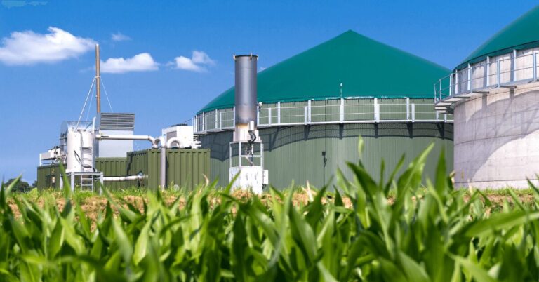 Biogasanlage steht hinter einem Maisfeld bei blauem Himmel. Die Anlage enthält Rohrleitungen und Ausrüstungen, die durch klare Bedingungen gut sichtbar sind.