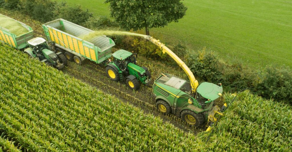 Häcksler bei der Maisernte – moderner Feldhäcksler füllt Silagewagen für Futterproduktion
