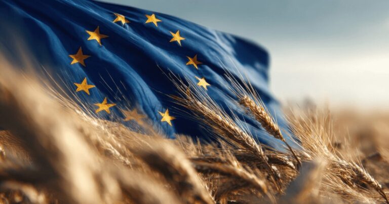 die zerknitterte Flagge der EU soll das gespaltene Verhältnis zwischen EU und der Landwirtschaft verdeutlichen, sprich Gemeinsame Agrarpolitik